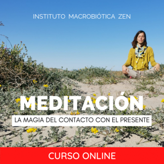Curso meditación online principiantes